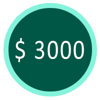 donation 3000 symbol